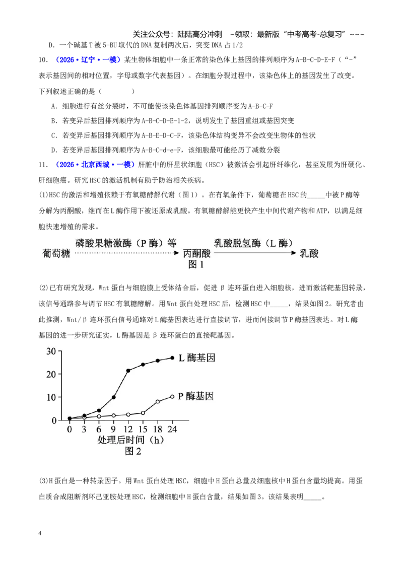 《专题06生物的变异与进化（学生版）_06-生物-高考总复习_专项复习_2026年-生物高考专项复习_2026年高考生物一模试题分类汇编（新高考通用）-G178_2026版》第4页预览