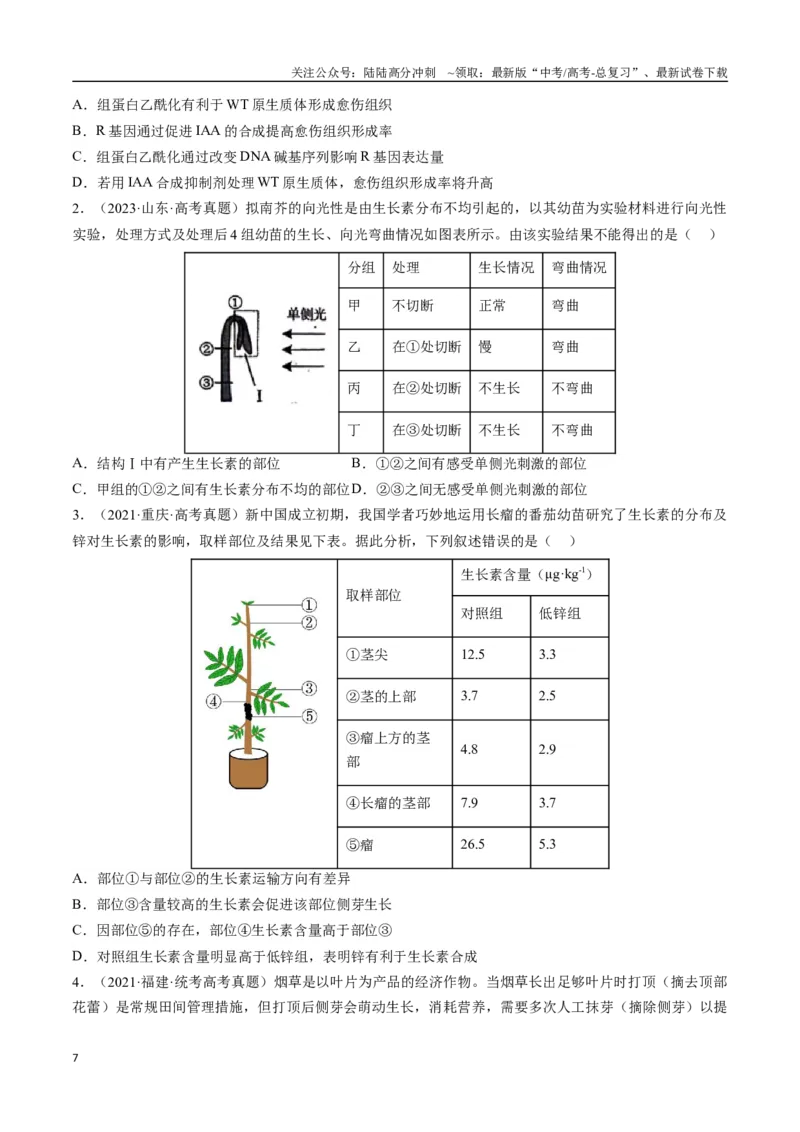 《专题11植物激素（学生版）_06-生物-高考总复习_专项复习_2024年_2024年高考生物总复习核心题型解读与全攻略新教材_资料》第7页预览