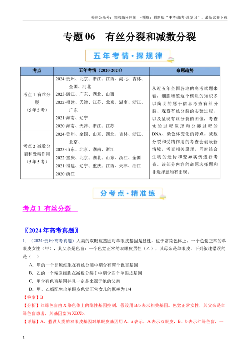 《专题06有丝分裂和减数分裂（解析版）_06-生物-高考总复习_专项复习_2024年_2024年高考生物真题分类汇编（全国通用）》第1页预览