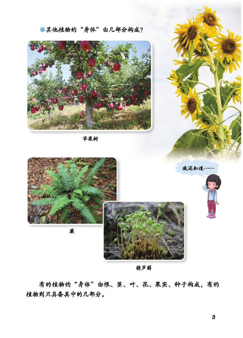 《五制三上教材_小学1-6年级全科全套_2025更新专题（含教材）_寒假预复习必备资料2024新版小学教材电子版_小学科学_青岛版（无水印）_五制》第10页预览