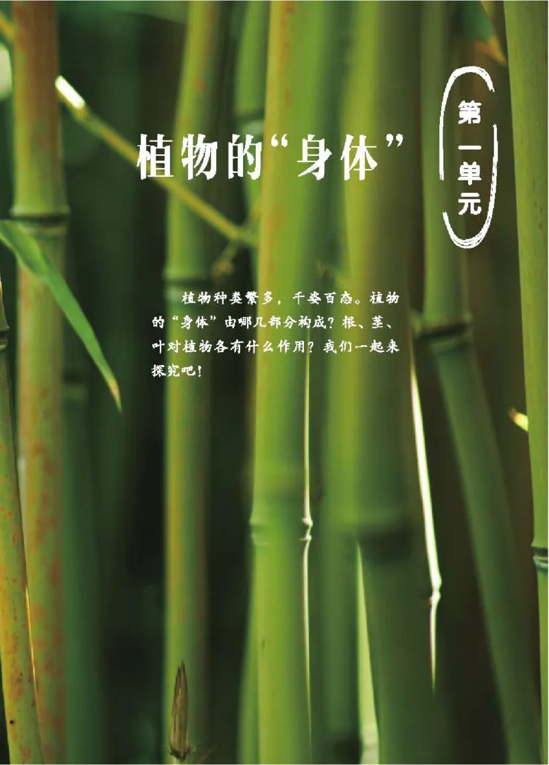 《五制三上教材_小学1-6年级全科全套_2025更新专题（含教材）_寒假预复习必备资料2024新版小学教材电子版_小学科学_青岛版（无水印）_五制》第8页预览