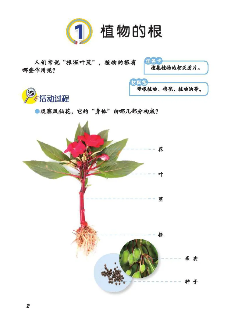 《五制三上教材_小学1-6年级全科全套_2025更新专题（含教材）_寒假预复习必备资料2024新版小学教材电子版_小学科学_青岛版（无水印）_五制》第9页预览