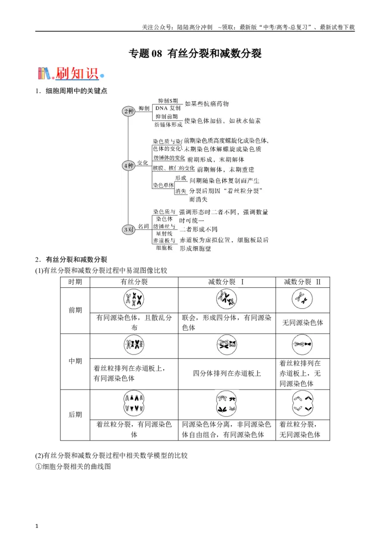 《专题08有丝分裂和减数分裂（解析版）_06-生物-高考总复习_专项复习_2024年_2024年高考生物经典小题必刷_资料》第1页预览