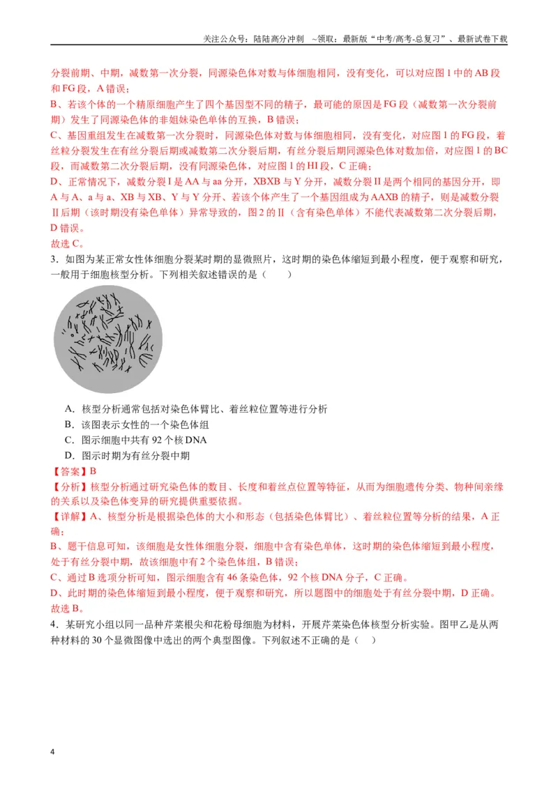 《专题08有丝分裂和减数分裂（解析版）_06-生物-高考总复习_专项复习_2024年_2024年高考生物经典小题必刷_资料》第4页预览