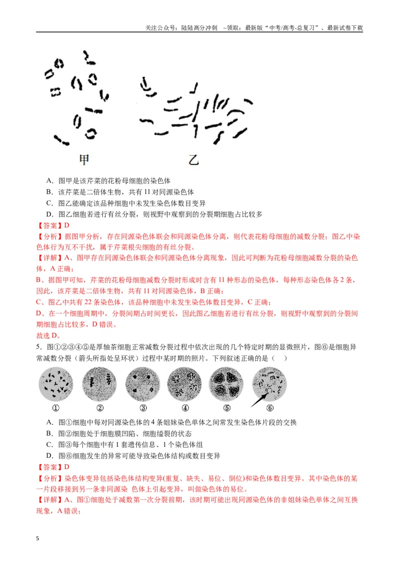 《专题08有丝分裂和减数分裂（解析版）_06-生物-高考总复习_专项复习_2024年_2024年高考生物经典小题必刷_资料》第5页预览