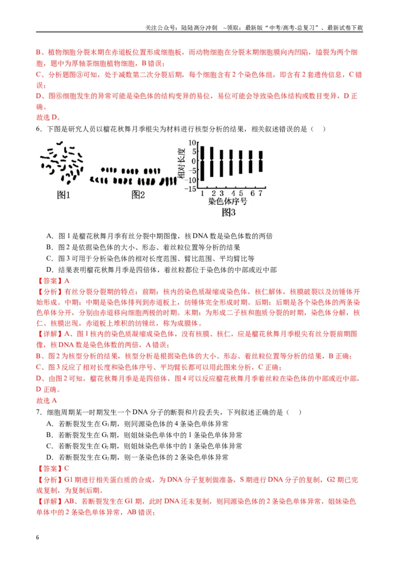 《专题08有丝分裂和减数分裂（解析版）_06-生物-高考总复习_专项复习_2024年_2024年高考生物经典小题必刷_资料》第6页预览