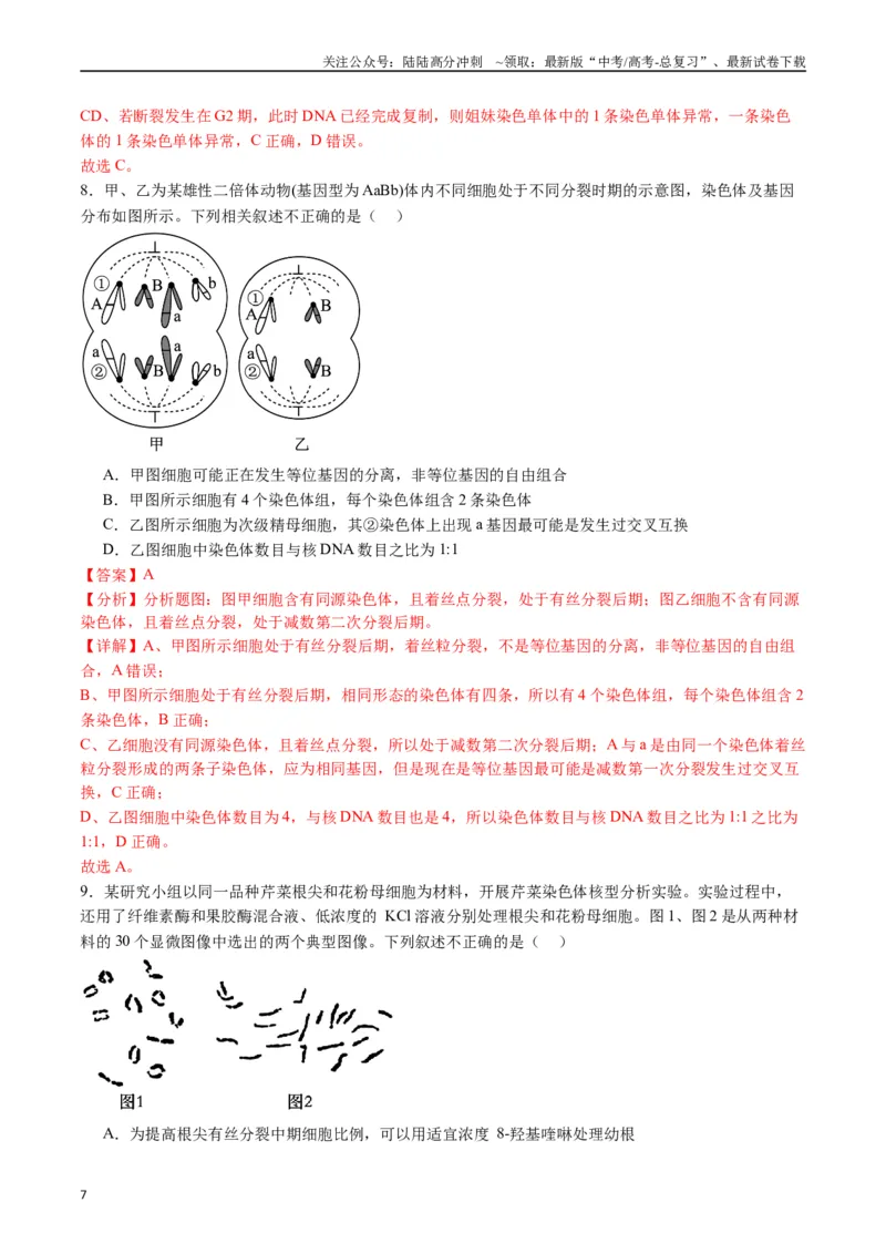 《专题08有丝分裂和减数分裂（解析版）_06-生物-高考总复习_专项复习_2024年_2024年高考生物经典小题必刷_资料》第7页预览
