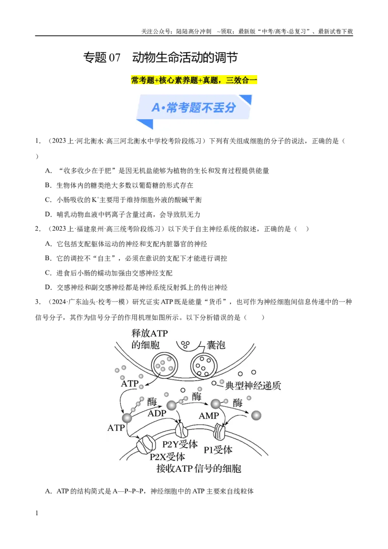 《专题07动物生命活动的调节（分层练）（原卷版）_06-生物-高考总复习_二轮复习_2024年_2024年高考生物二轮复习高频考点追踪与预测（新高考专用）_分层练》第1页预览