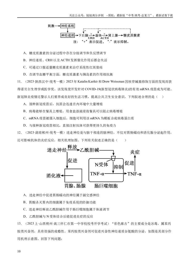 《专题07动物生命活动的调节（分层练）（原卷版）_06-生物-高考总复习_二轮复习_2024年_2024年高考生物二轮复习高频考点追踪与预测（新高考专用）_分层练》第10页预览