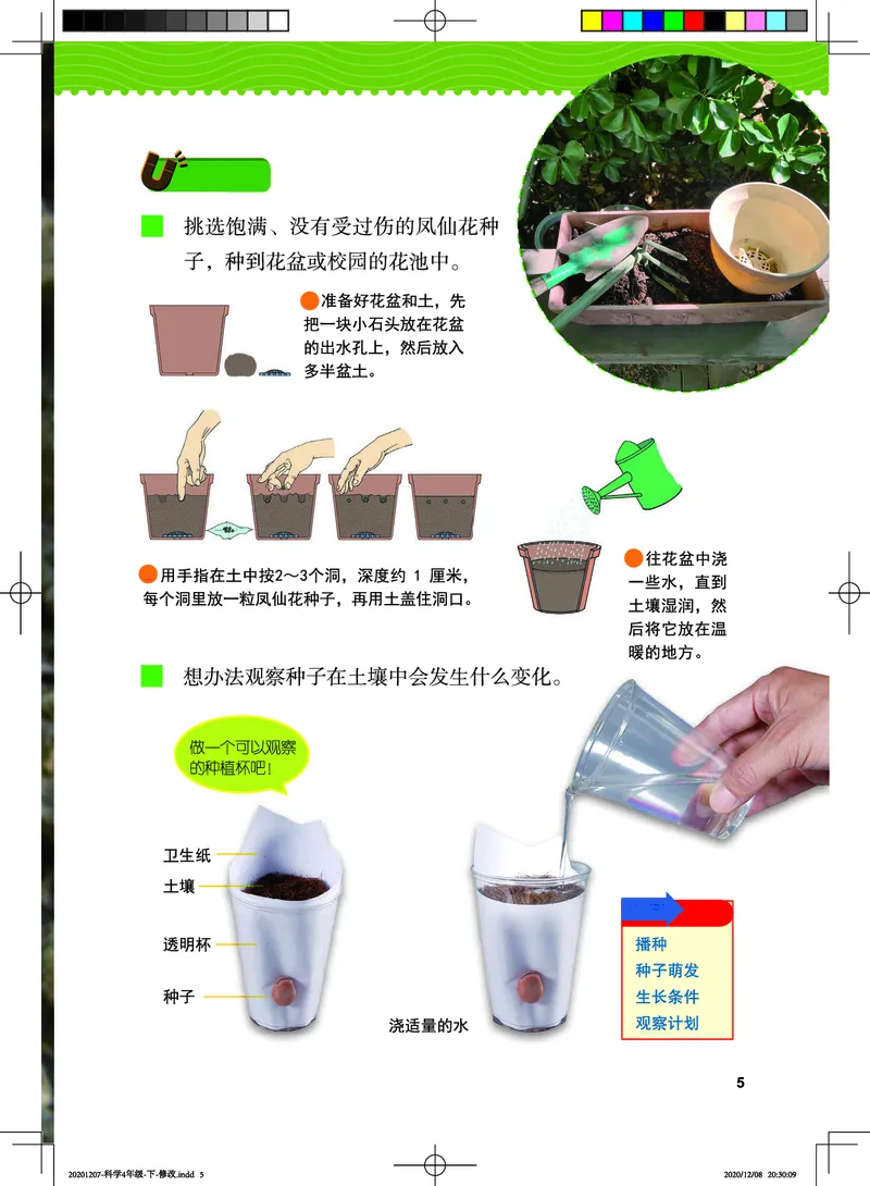《义务教育教科书-科学-四年级下册_小学1-6年级全科全套_2025更新专题（含教材）_寒假预复习必备资料2024新版小学教材电子版_小学科学_教科版（无水印）》第10页预览