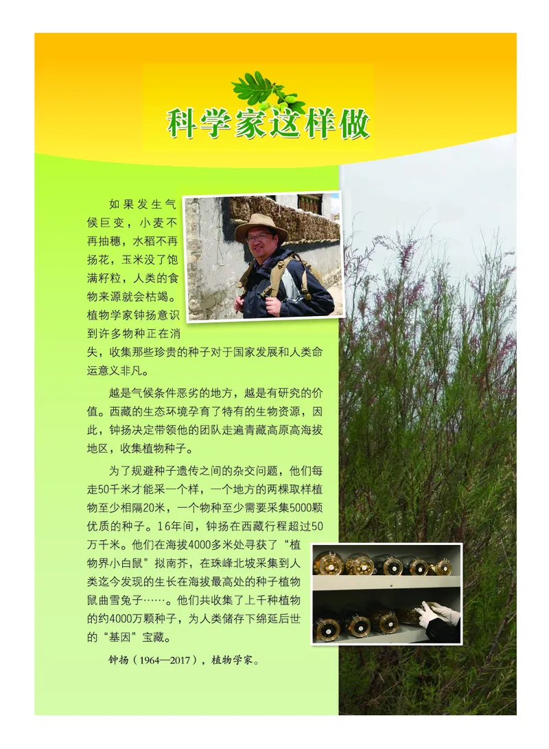 《义务教育教科书-科学-四年级下册_小学1-6年级全科全套_2025更新专题（含教材）_寒假预复习必备资料2024新版小学教材电子版_小学科学_教科版（无水印）》第3页预览