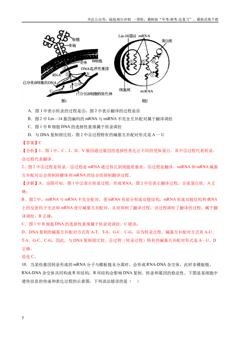 《专题07遗传的分子基础（选择题60道）（解析版）_06-生物-高考总复习_二轮复习_2024年_2024年高考生物二轮复习选择题大题压轴专项训练_资料》第7页预览