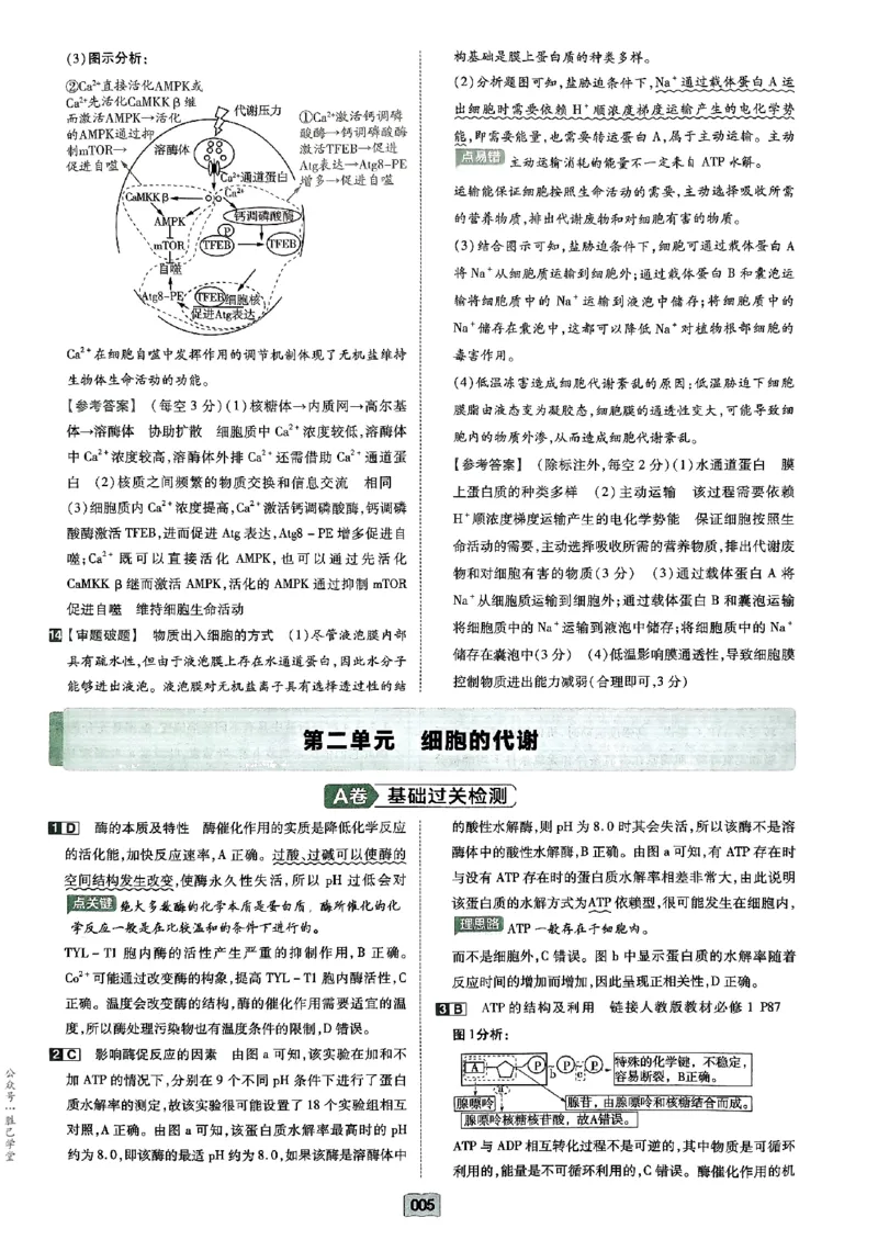 《2025版《天星·一轮滚动双侧卷》生物解析册_2025版天星一轮滚动双测卷数理化生》第7页预览