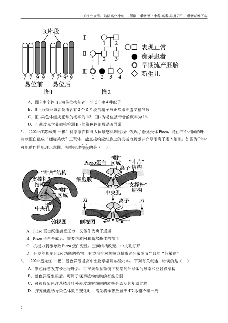 《专题08生物的变异、育种与进化（原卷版）_06-生物-高考总复习_专项复习_2025年_2024年高考一模试题分类汇编生物新高考通用》第2页预览
