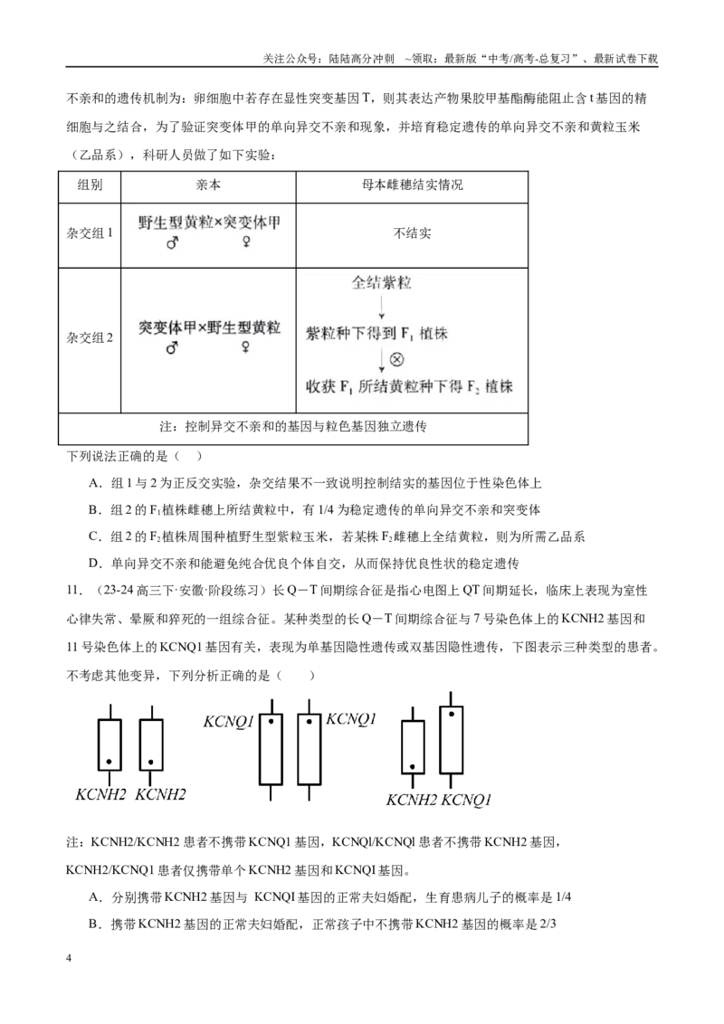 《专题10遗传的基本规律及其应用（学生版）_06-生物-高考总复习_一轮复习_2025年_2025年高考生物一轮复习考点精讲精练（新高考通用）》第4页预览