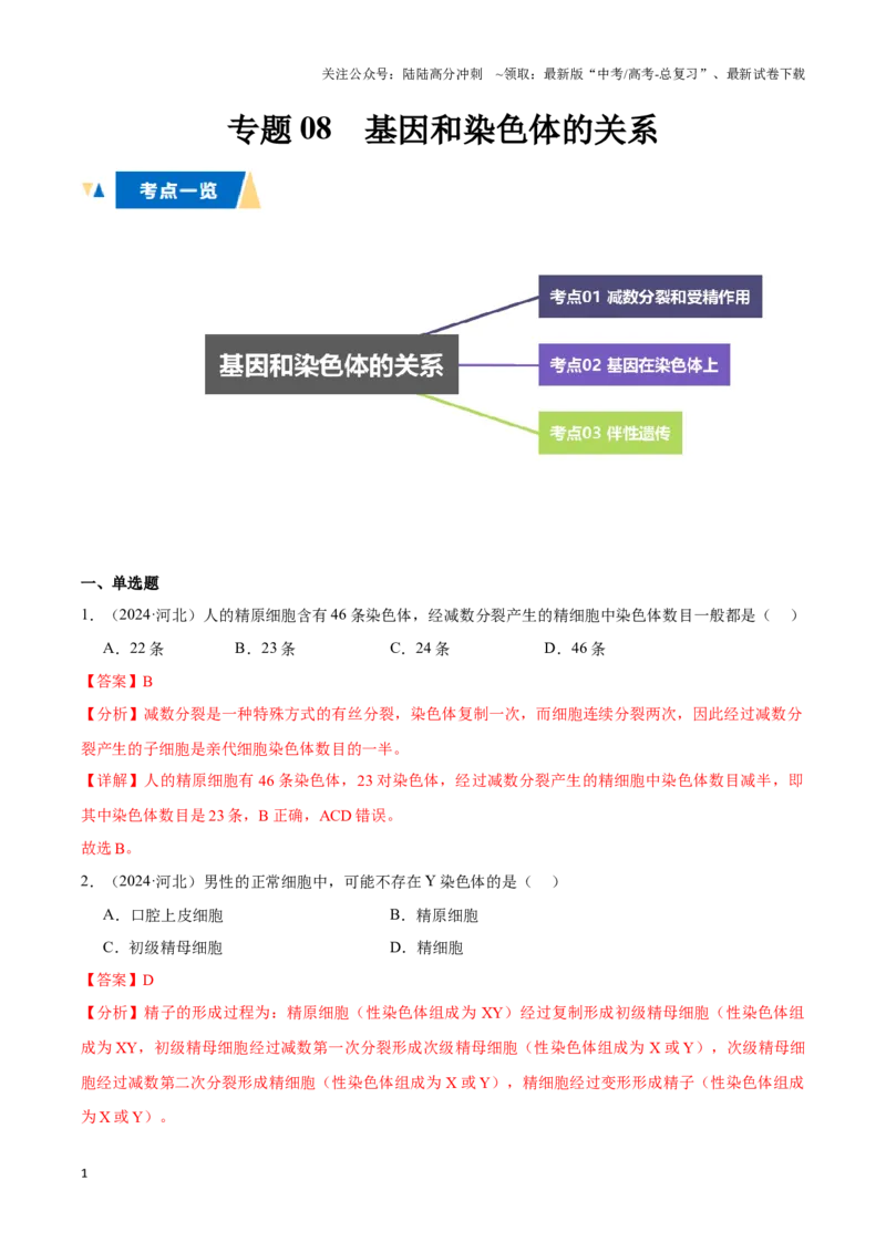 《专题08基因和染色体的关系（教师版）_06-生物-高考总复习_专项复习_2025年_2025年高中学业水平合格考生物真题分类汇编（全国通用）》第1页预览