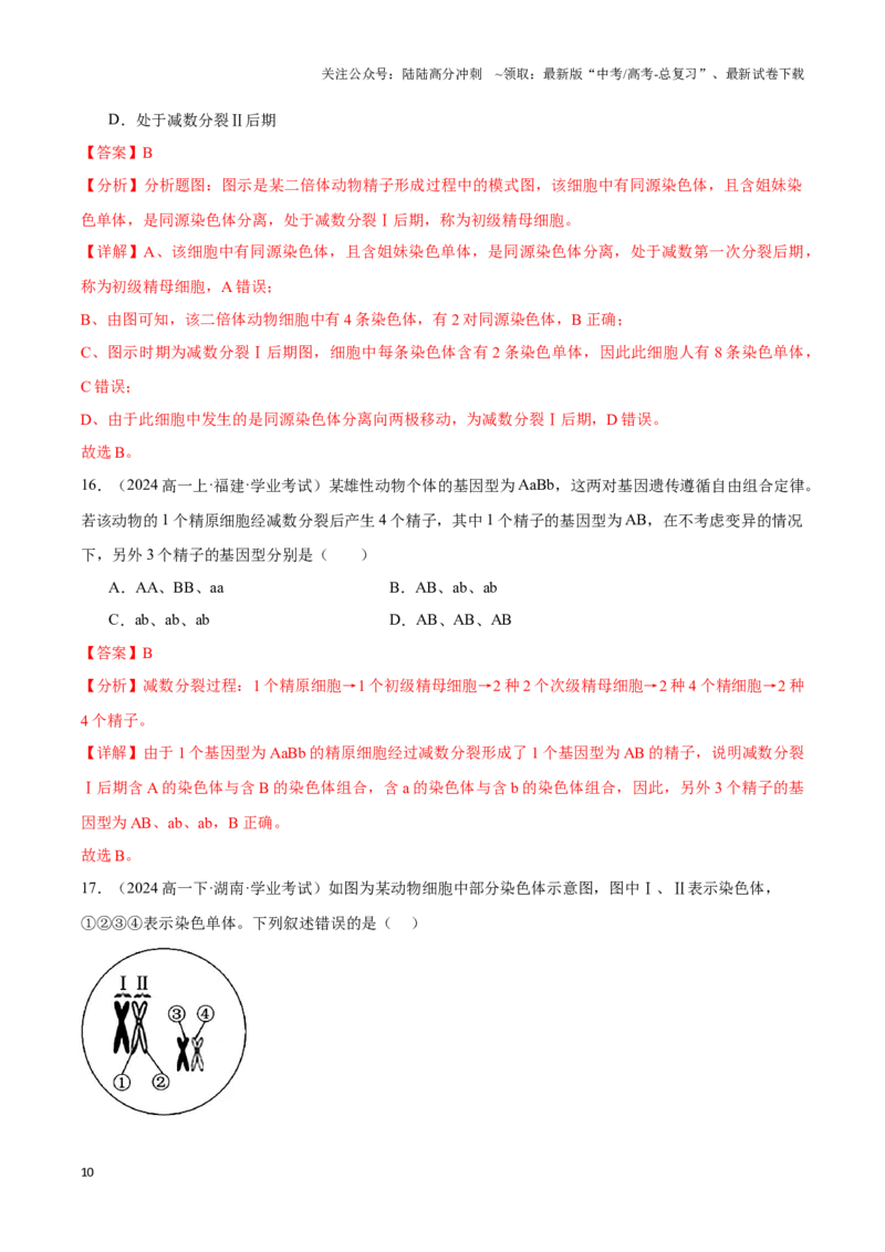 《专题08基因和染色体的关系（教师版）_06-生物-高考总复习_专项复习_2025年_2025年高中学业水平合格考生物真题分类汇编（全国通用）》第10页预览