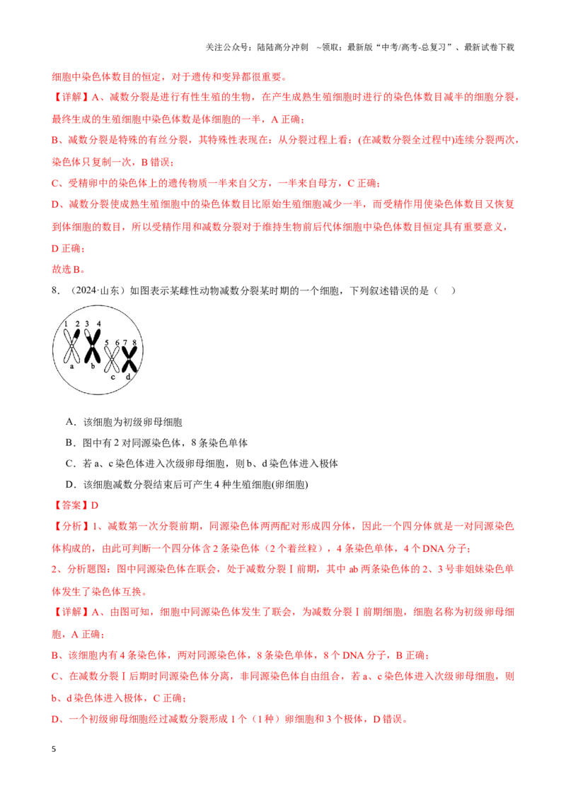 《专题08基因和染色体的关系（教师版）_06-生物-高考总复习_专项复习_2025年_2025年高中学业水平合格考生物真题分类汇编（全国通用）》第5页预览
