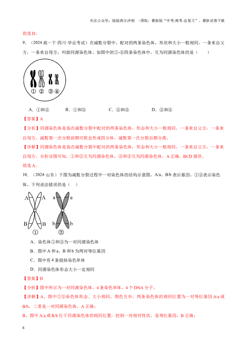 《专题08基因和染色体的关系（教师版）_06-生物-高考总复习_专项复习_2025年_2025年高中学业水平合格考生物真题分类汇编（全国通用）》第6页预览