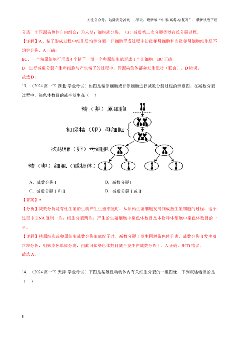 《专题08基因和染色体的关系（教师版）_06-生物-高考总复习_专项复习_2025年_2025年高中学业水平合格考生物真题分类汇编（全国通用）》第8页预览