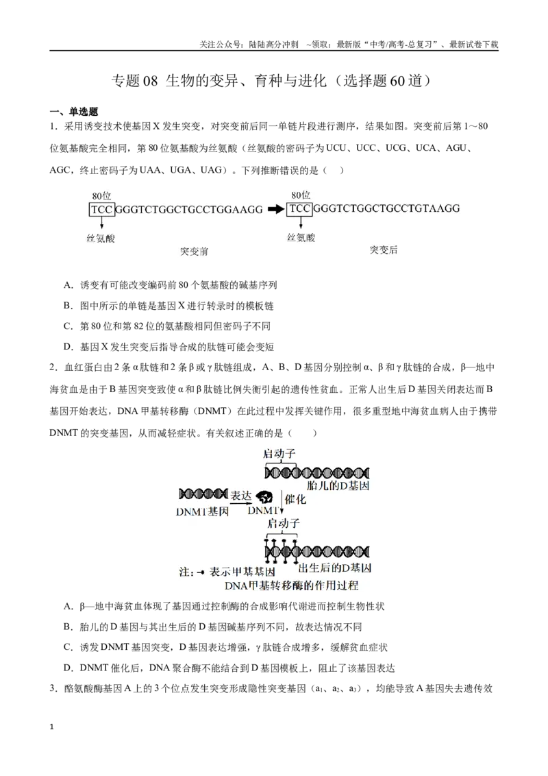 《专题08生物的变异、育种与进化（选择题60道）（原卷版）_06-生物-高考总复习_二轮复习_2024年_2024年高考生物二轮复习选择题大题压轴专项训练_资料》第1页预览