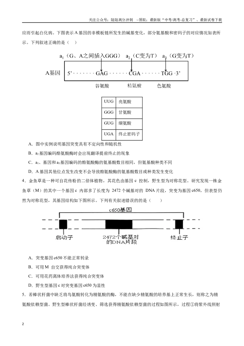 《专题08生物的变异、育种与进化（选择题60道）（原卷版）_06-生物-高考总复习_二轮复习_2024年_2024年高考生物二轮复习选择题大题压轴专项训练_资料》第2页预览