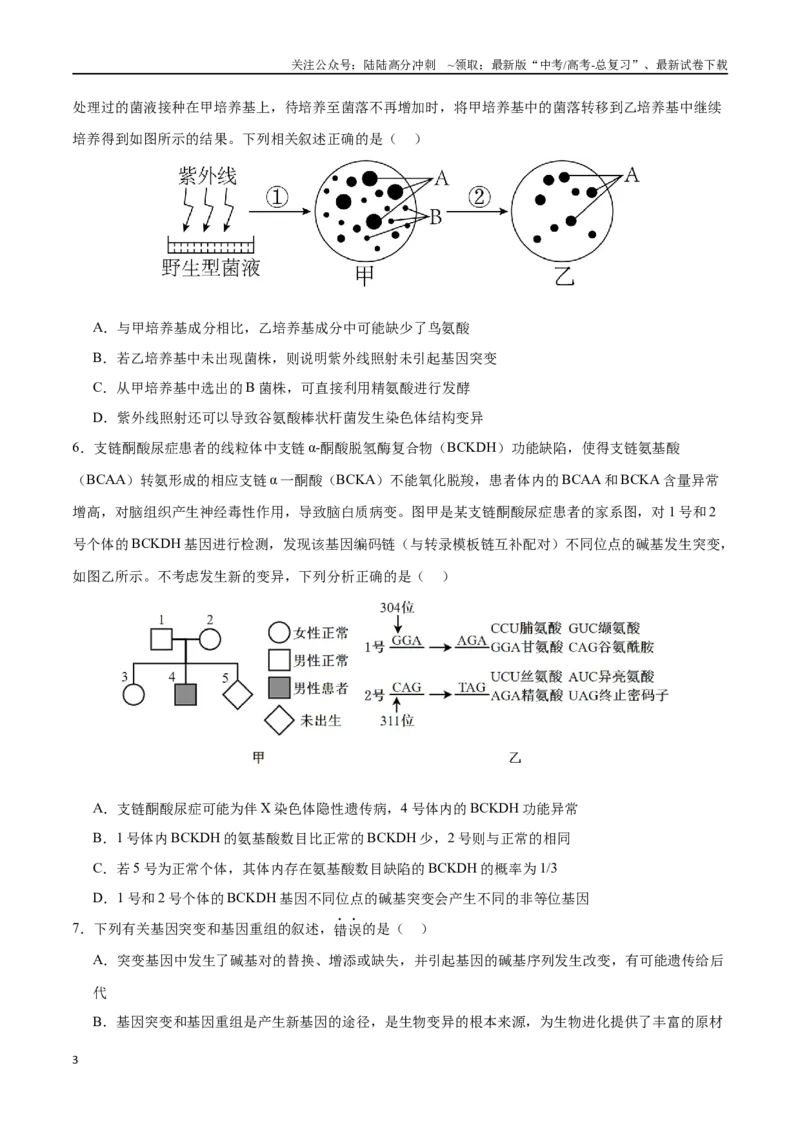 《专题08生物的变异、育种与进化（选择题60道）（原卷版）_06-生物-高考总复习_二轮复习_2024年_2024年高考生物二轮复习选择题大题压轴专项训练_资料》第3页预览