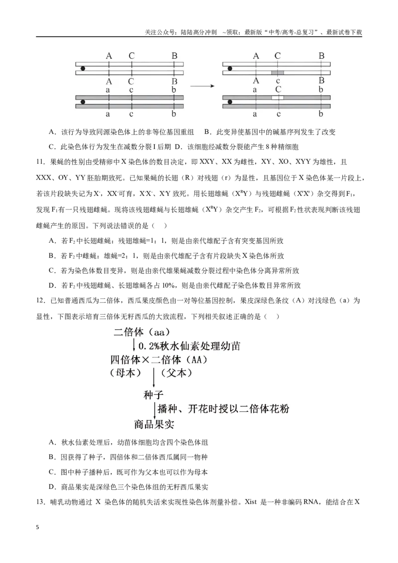《专题08生物的变异、育种与进化（选择题60道）（原卷版）_06-生物-高考总复习_二轮复习_2024年_2024年高考生物二轮复习选择题大题压轴专项训练_资料》第5页预览
