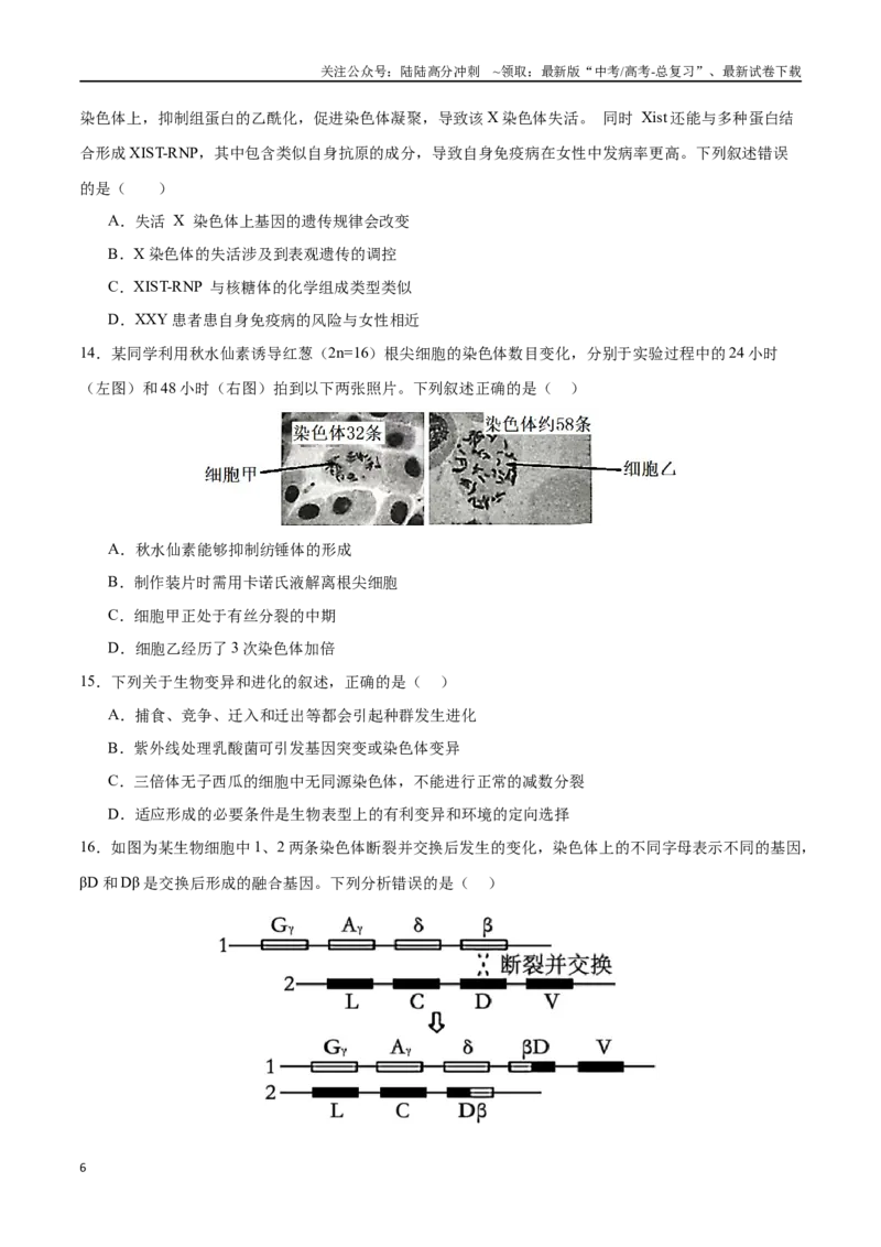 《专题08生物的变异、育种与进化（选择题60道）（原卷版）_06-生物-高考总复习_二轮复习_2024年_2024年高考生物二轮复习选择题大题压轴专项训练_资料》第6页预览