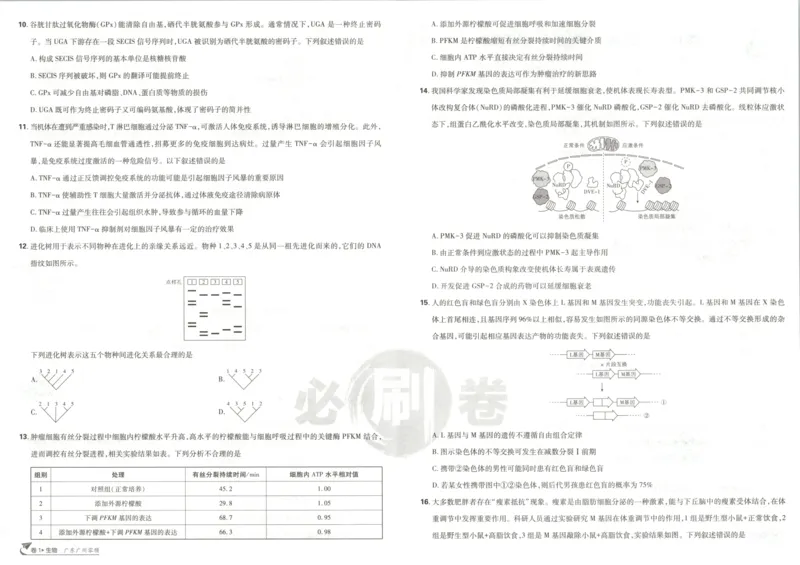 《主书_2027版《高考必刷卷42套》_2027版高考《必刷卷42套》高考上分模拟卷（生物）通用版》第6页预览