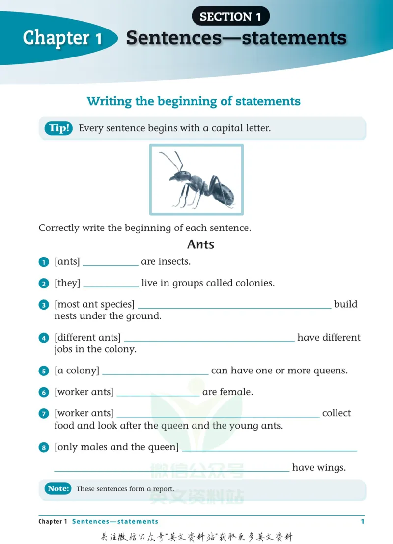 《Writing-Workbook-Year-2_小初高学习资料合集（每天更新）_国外原版英文教辅汇总_澳大利亚写作练习册WritingWorkbook六册》第6页预览