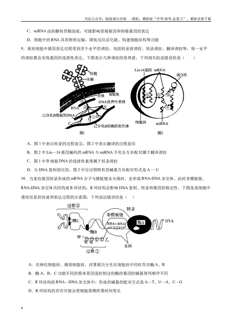 《专题07遗传的分子基础（选择题60道）（原卷版）_06-生物-高考总复习_二轮复习_2024年_2024年高考生物二轮复习选择题大题压轴专项训练_资料》第4页预览