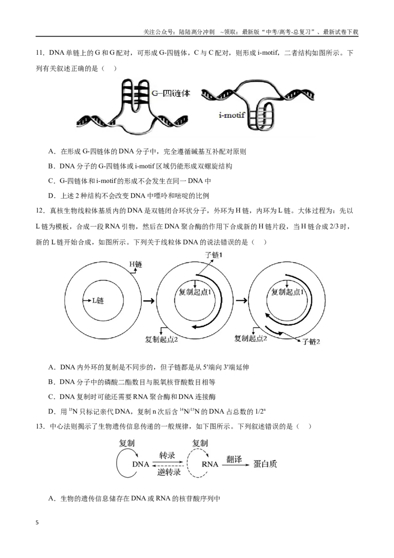 《专题07遗传的分子基础（选择题60道）（原卷版）_06-生物-高考总复习_二轮复习_2024年_2024年高考生物二轮复习选择题大题压轴专项训练_资料》第5页预览