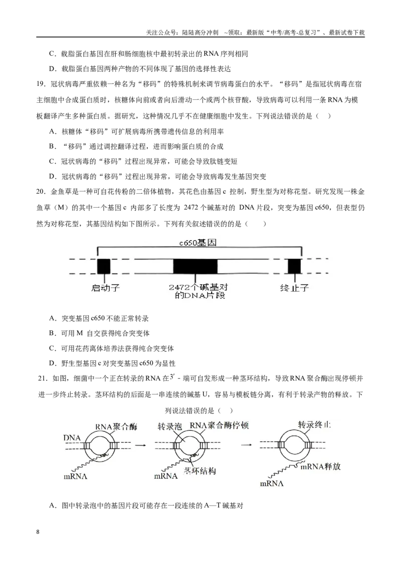 《专题07遗传的分子基础（选择题60道）（原卷版）_06-生物-高考总复习_二轮复习_2024年_2024年高考生物二轮复习选择题大题压轴专项训练_资料》第8页预览