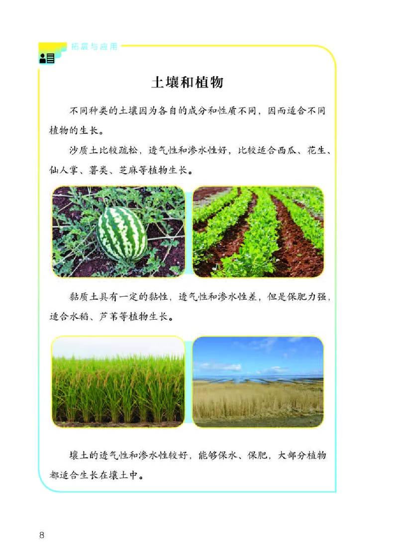 《义务教育教科书科学三年级下册_小学1-6年级全科全套_2025更新专题（含教材）_寒假预复习必备资料2024新版小学教材电子版_小学科学_人教版（无水印）》第10页预览
