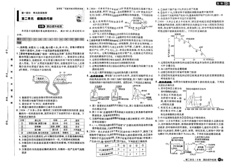 《2025版《天星·一轮滚动双侧卷》生物试题册_2025版天星一轮滚动双测卷数理化生》第10页预览