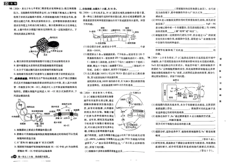 《2025版《天星·一轮滚动双侧卷》生物试题册_2025版天星一轮滚动双测卷数理化生》第7页预览