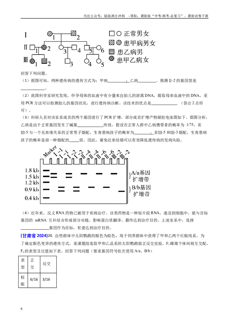 《专题08遗传规律和应用-(学生版）_06-生物-高考总复习_专项复习_2025年_2025年高考真题和模拟题生物分类汇编（全国通用）》第6页预览