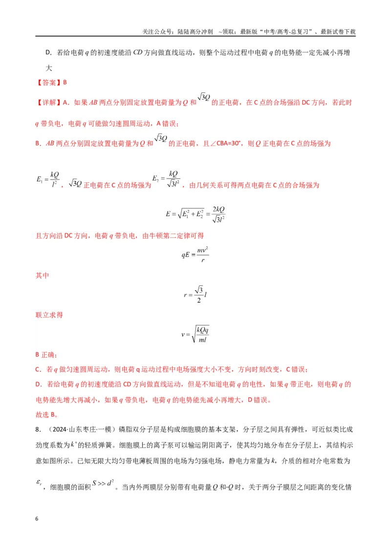 《专题10电场及带电粒子在电场中的运动（解析版）_04-物理-高考总复习_专项复习_2024年_2024届新高考物理冲刺专项训练300题_资料》第6页预览