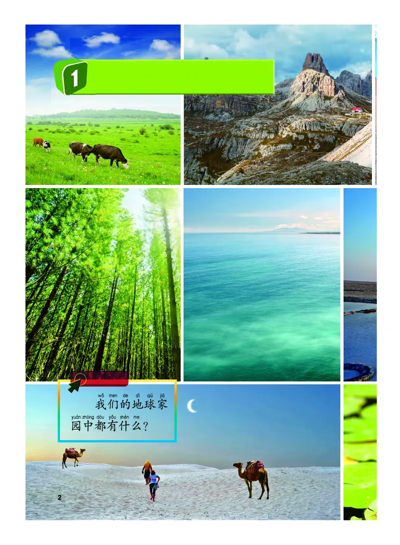 《义务教育教科书-科学-二年级上册_小学1-6年级全科全套_2025更新专题（含教材）_寒假预复习必备资料2024新版小学教材电子版_小学科学_教科版（无水印）》第7页预览