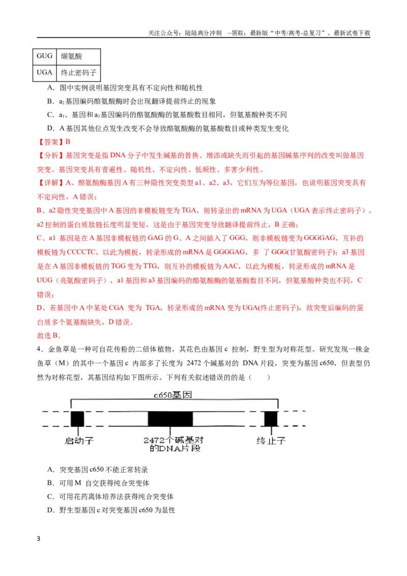 《专题08生物的变异、育种与进化（选择题60道）（解析版）_06-生物-高考总复习_二轮复习_2024年_2024年高考生物二轮复习选择题大题压轴专项训练_资料》第3页预览