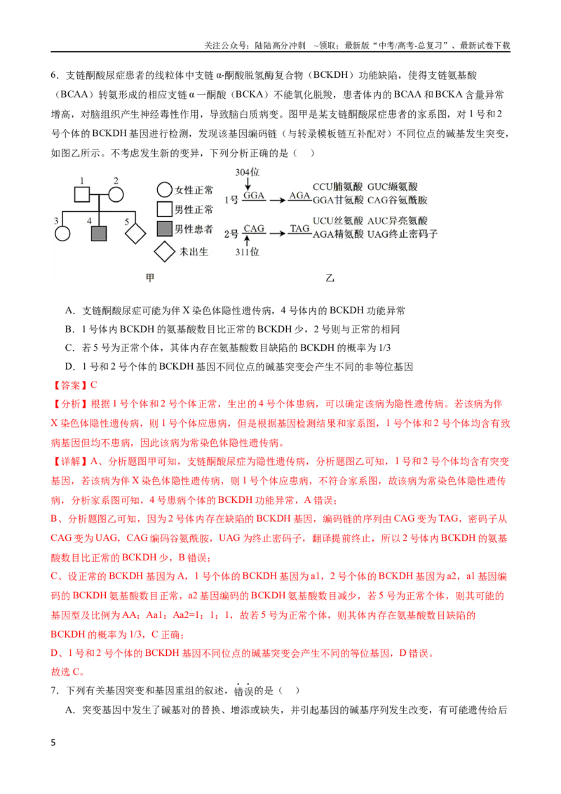 《专题08生物的变异、育种与进化（选择题60道）（解析版）_06-生物-高考总复习_二轮复习_2024年_2024年高考生物二轮复习选择题大题压轴专项训练_资料》第5页预览