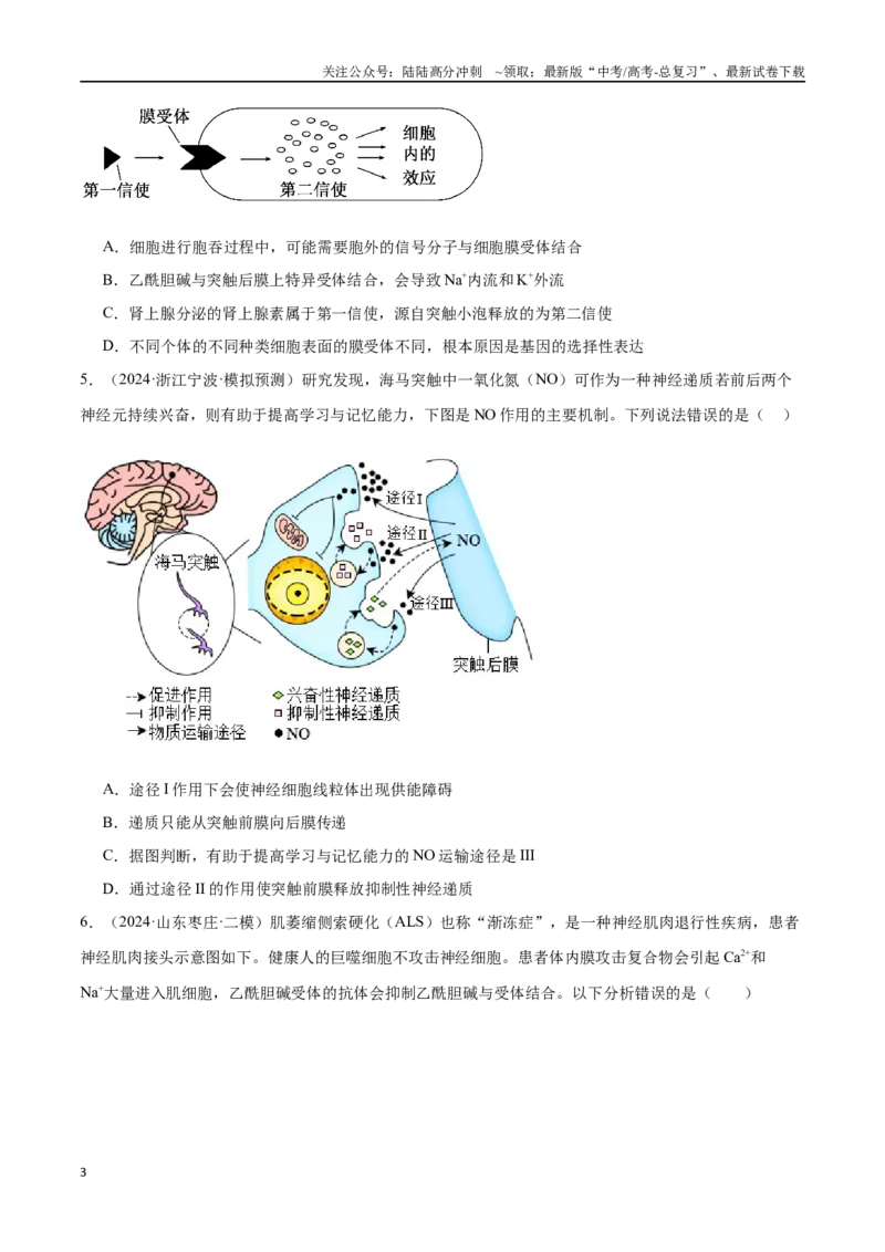 《专题09动物生命活动的调节（原卷版）_06-生物-高考总复习_专项复习_2024年_2024年高考生物重难压轴题型考前终极押题_资料》第3页预览