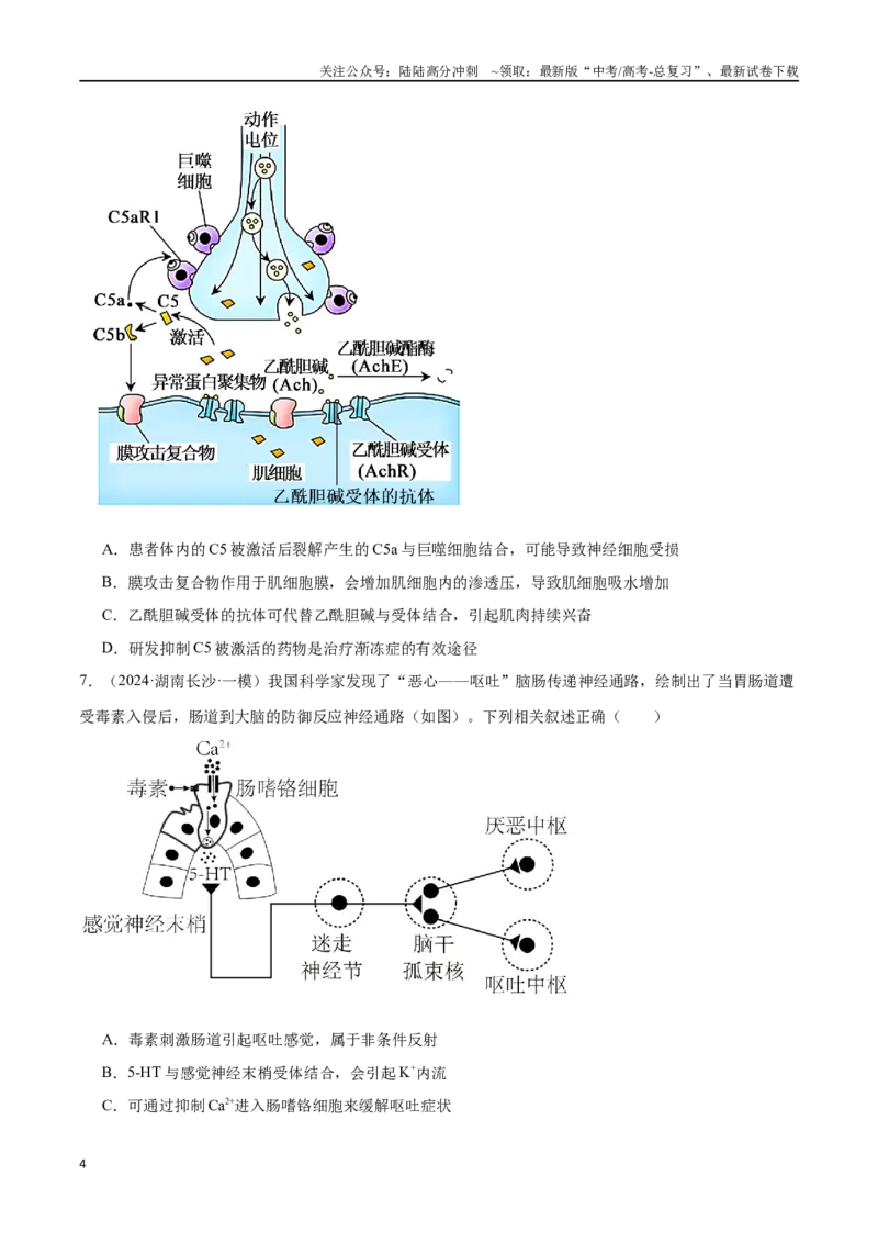 《专题09动物生命活动的调节（原卷版）_06-生物-高考总复习_专项复习_2024年_2024年高考生物重难压轴题型考前终极押题_资料》第4页预览