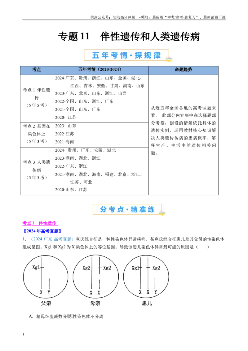 《专题11伴性遗传和人类遗传病（原卷版）_06-生物-高考总复习_专项复习_2024年_2024年高考生物真题分类汇编（全国通用）》第1页预览