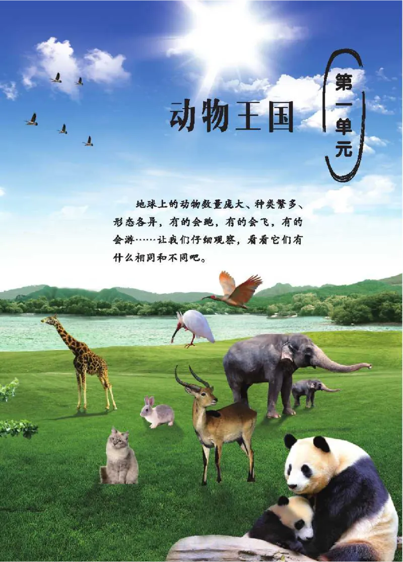 《五制四上教材_小学1-6年级全科全套_2025更新专题（含教材）_寒假预复习必备资料2024新版小学教材电子版_小学科学_青岛版（无水印）_五制》第6页预览