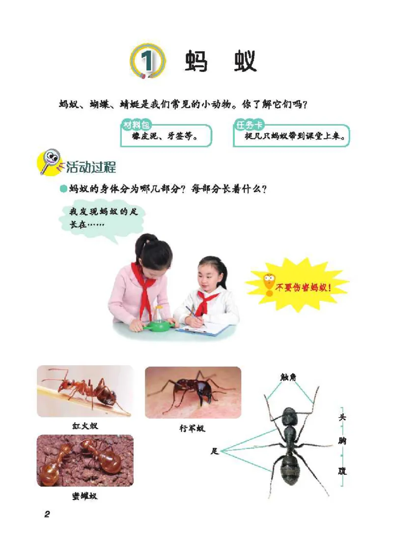 《五制四上教材_小学1-6年级全科全套_2025更新专题（含教材）_寒假预复习必备资料2024新版小学教材电子版_小学科学_青岛版（无水印）_五制》第7页预览
