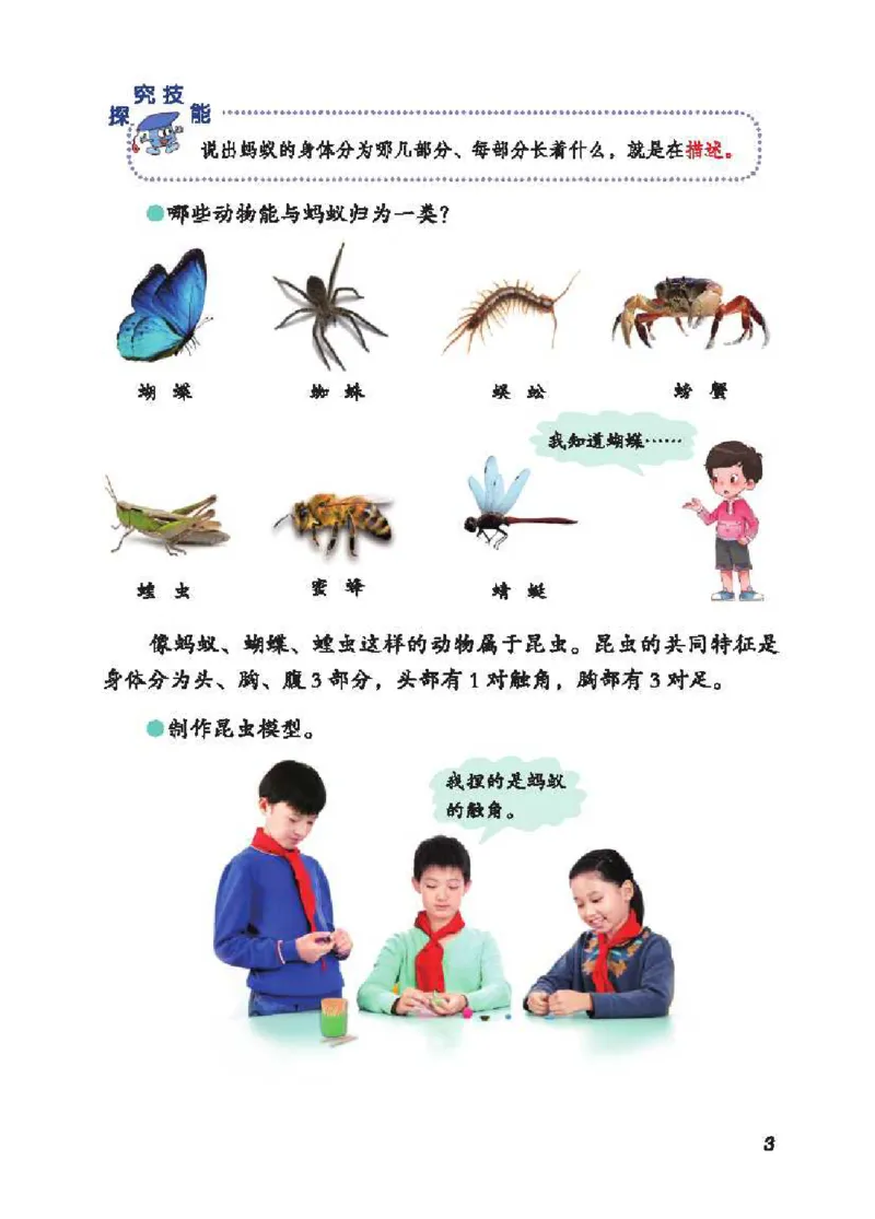 《五制四上教材_小学1-6年级全科全套_2025更新专题（含教材）_寒假预复习必备资料2024新版小学教材电子版_小学科学_青岛版（无水印）_五制》第8页预览