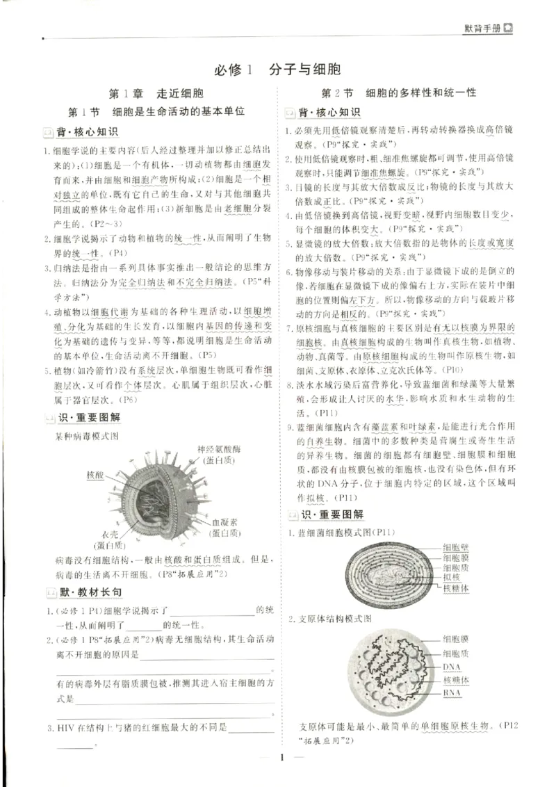 《优化方案-高考总复习-生物(新高考)-默背手册_小初高学习资料合集（每天更新）_2027版《优化方案》高考总复习》第3页预览