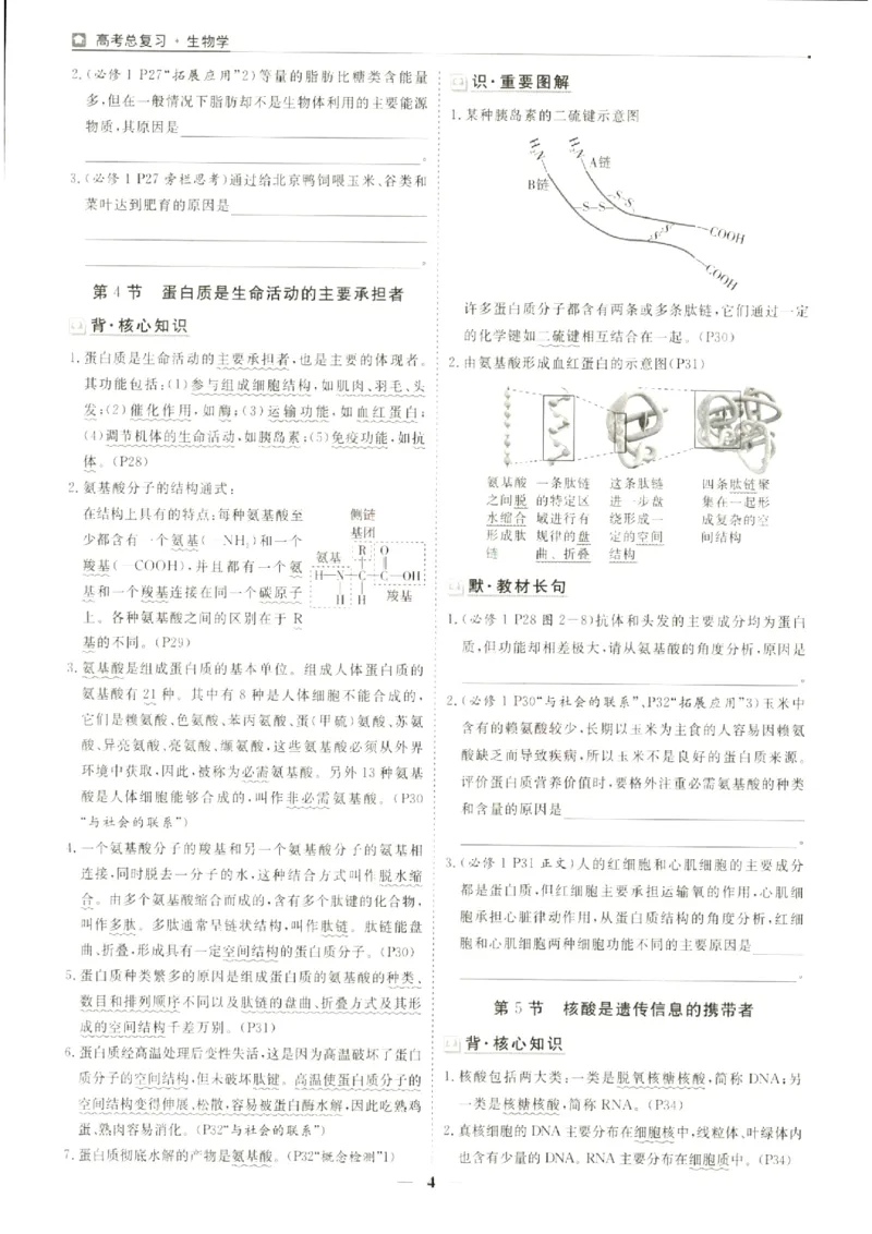 《优化方案-高考总复习-生物(新高考)-默背手册_小初高学习资料合集（每天更新）_2027版《优化方案》高考总复习》第6页预览